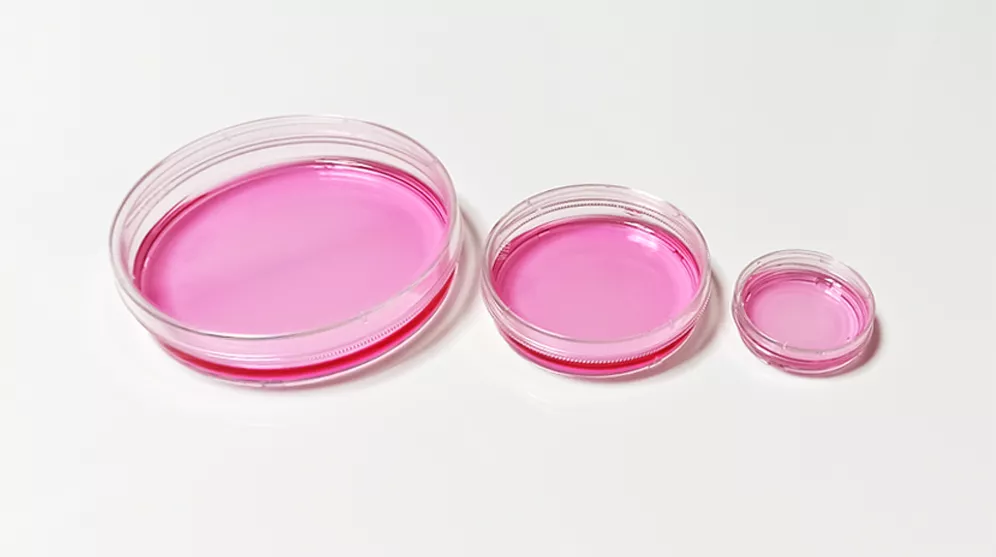 WHB(卧宏生物)细胞培养皿