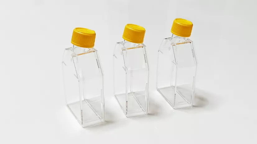 WHB（卧宏生物）细胞培养瓶 Cell Culture Flasks
