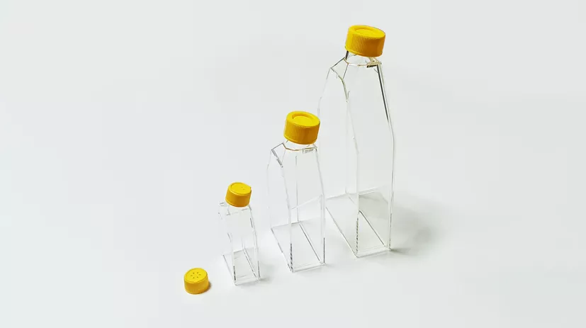 WHB（卧宏生物）细胞培养瓶 Cell Culture Flasks
