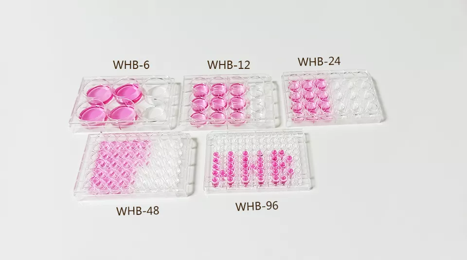 WHB(卧宏生物)细胞培养板 Cell Culture Plates